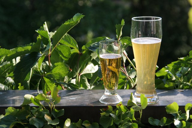 Sommerdurst auf der Terrasse